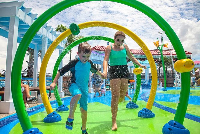The Florida Aquarium in Tampa General Admission - Interactive Encounters and Daily Programming: How to Make This More Than a Walk-Through