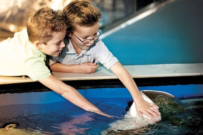 The Florida Aquarium in Tampa General Admission - Entering the Exhibits: Wetlands Trail to River Streams (Where the Trip Starts Strong)