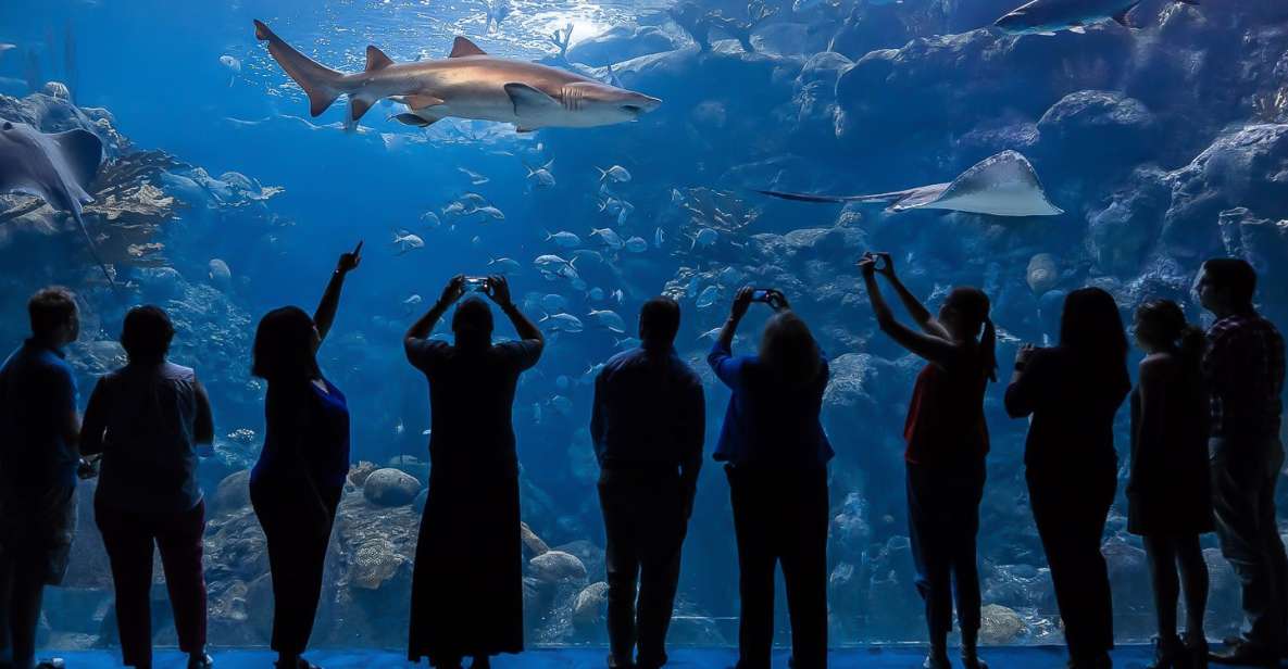 The Florida Aquarium Ticket - Key things that make this ticket worth your time