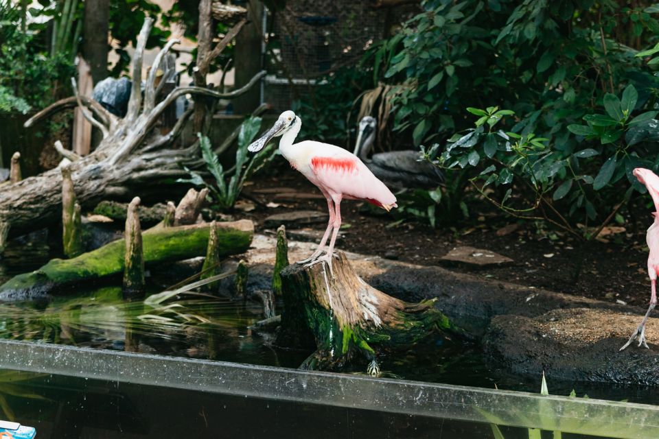 The Florida Aquarium Ticket - Price and how to judge value for your own pace