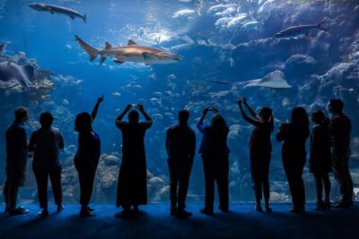 The Florida Aquarium Ticket - Getting in fast: what the reserved time means (and how to use it)