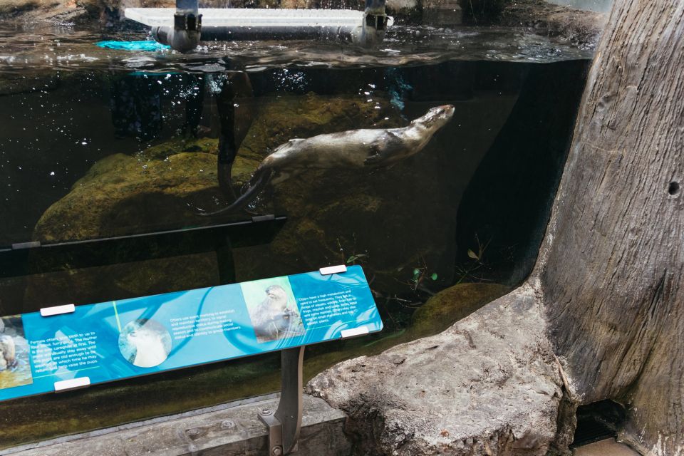The Florida Aquarium Ticket - MORPHD and the fun side of adaptation