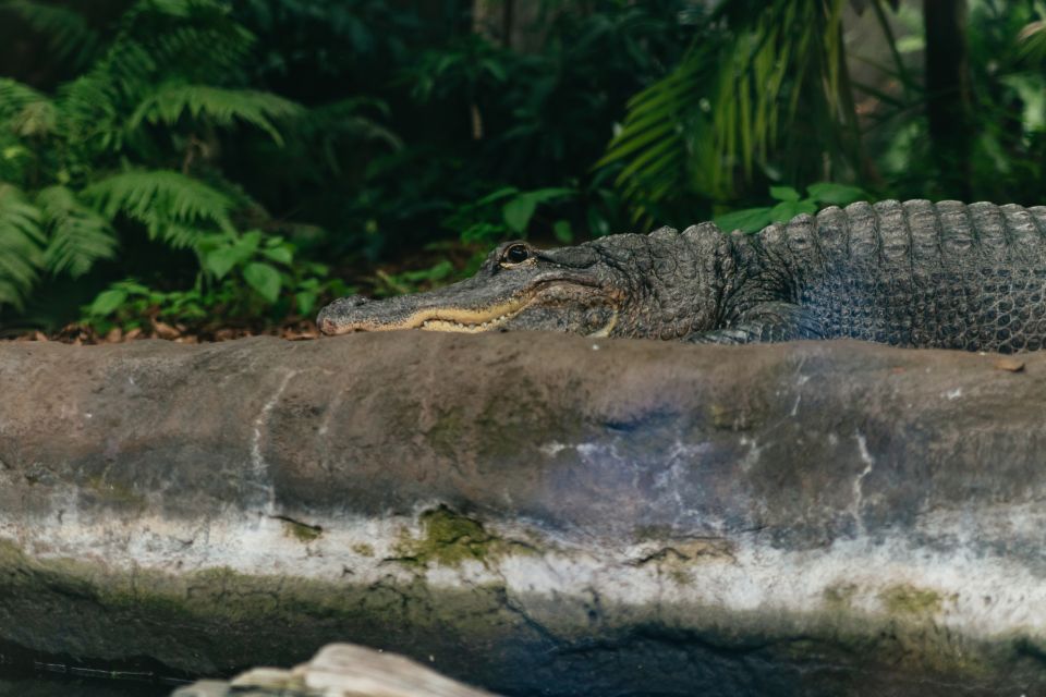 The Florida Aquarium Ticket - Where to rest: food at Cafe Ray, gift shop time, and breaks