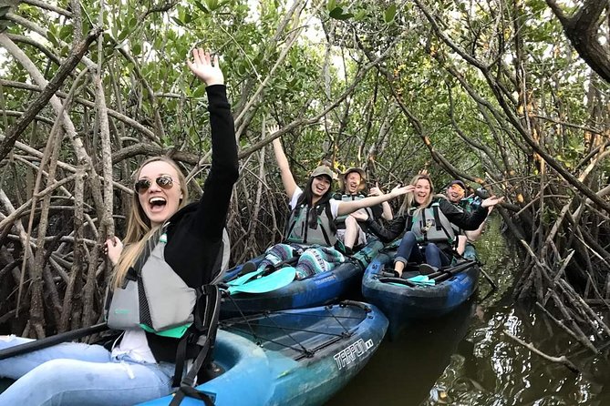 Thousand Island Mangrove Tunnel, Manatee & Dolphin Kayak Tour w/Cocoa Kayaking - Key points before you paddle the Thousand Islands