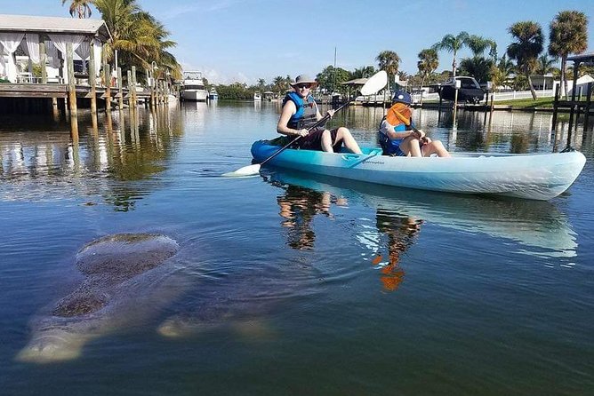 Thousand Island Mangrove Tunnel, Manatee & Dolphin Kayak Tour w/Cocoa Kayaking - Choosing your kayak: single vs tandem and why support matters