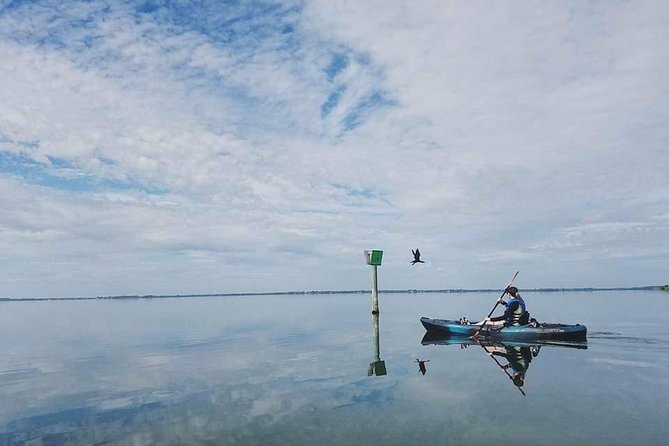 Thousand Island Mangrove Tunnel, Manatee & Dolphin Kayak Tour w/Cocoa Kayaking - First stretch on open water: how the guide sets you up for tunnel paddling