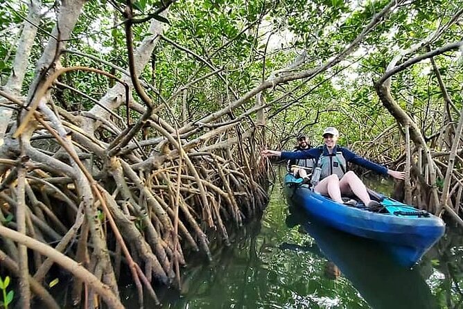 Thousand Island Mangrove Tunnel, Manatee & Dolphin Kayak Tour w/Cocoa Kayaking - The mangrove tunnels: cool factor, real-world considerations, and what to watch for