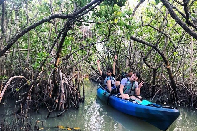 Thousand Island Mangrove Tunnel, Manatee & Dolphin Kayak Tour w/Cocoa Kayaking - Gear, comfort, and what to pack (Florida sun and bugs are real)
