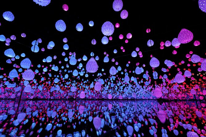 Ticket for ARTE Museum Las Vegas - Key Things to Know Before You Go
