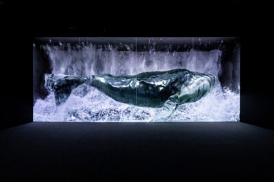 Ticket for ARTE Museum Las Vegas - Inside Arte Museum: The Eternal Nature Theme in Real Life