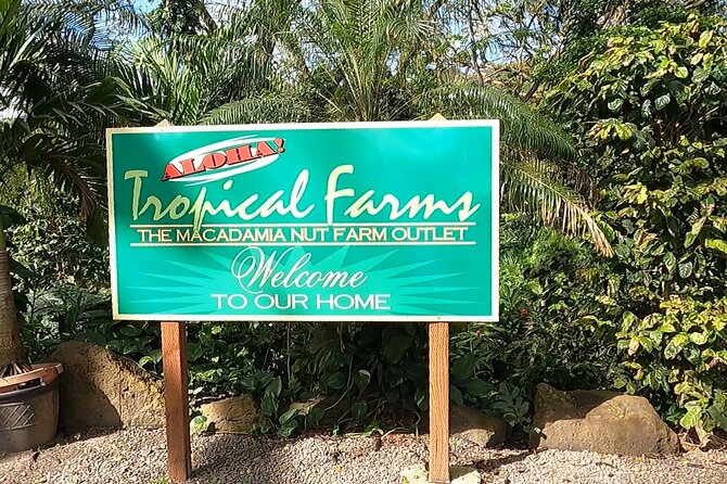 Tour of North Shore & Waimea Waterfall - The Kahuku stretch: shrimp lunch, fruit stops, and Sunset Beach surf realities