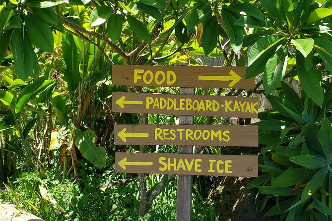 Tour of North Shore & Waimea Waterfall - Nu’uanu Pali viewpoint: the windward-side payoff