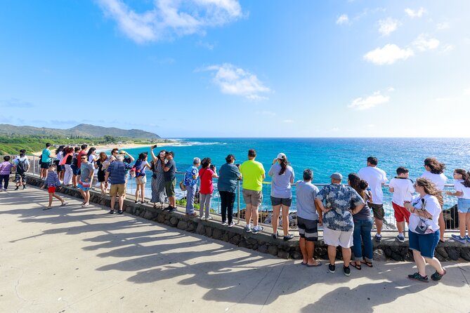 Tour of North Shore & Waimea Waterfall - Diamond Head to Halona Blowhole: volcanic views and a quick look at Oahu’s story
