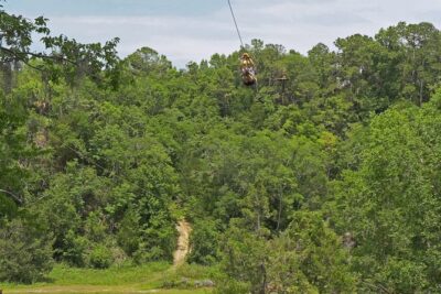 Treetop Express Zip Line Tour with 5 Zip Line Flights & 2 Sky Bridges Included - Check-in flow and the practice zip that matters