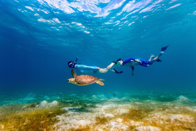 Turtle Canyon Snorkel Adventure - Small Group 6 Passengers - Gear, snacks, and the not-so-glamorous details you’ll thank yourself for