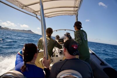 Turtle Canyon Snorkel: Semi Private Boat Tour - Meeting at Ala Moana and the ride out along Oahu’s coast