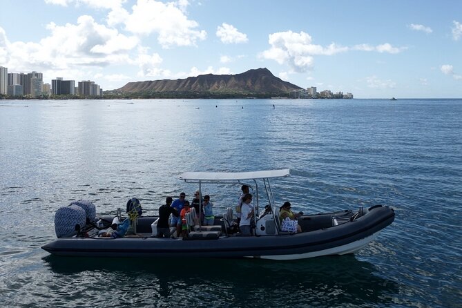 Turtle Canyon Snorkel: Semi Private Boat Tour - Timing: why an early start can make a difference