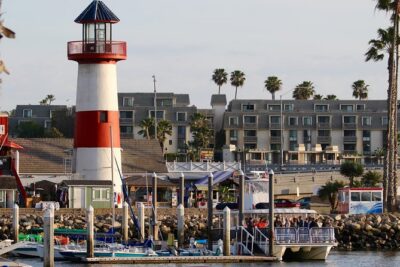 Two-Hour Luxury Whale Watching Tour from Oceanside - Price and value: is $64 worth a 2-hour whale hunt?