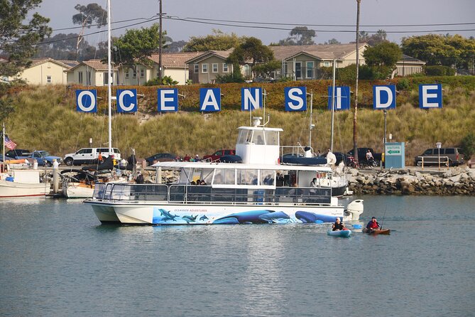 Two-Hour Luxury Whale Watching Tour from Oceanside - Departure times: fitting wildlife into your day
