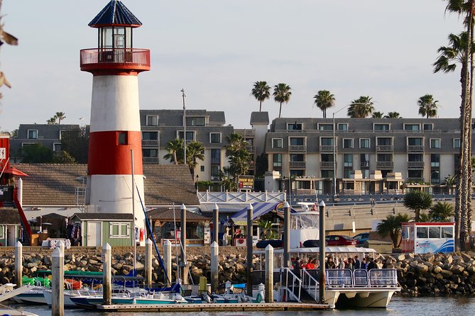 Two-Hour Luxury Whale Watching Tour from Oceanside - Price and value: is $64 worth a 2-hour whale hunt?