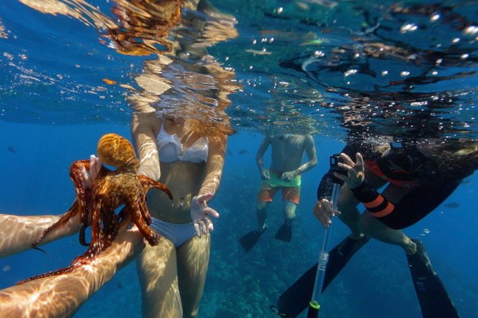 Ultimate 4 Hour Lanai Snorkel and Dolphin Encounter - Snorkeling Gear, Flotation, and Wetsuit Tops (If You Want Them)