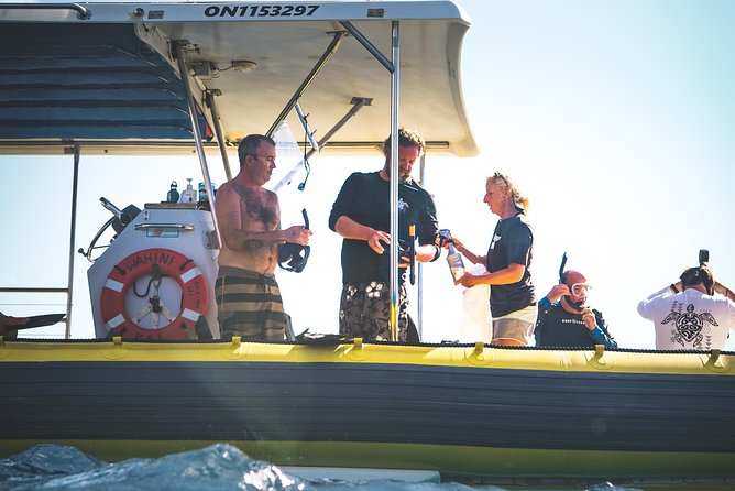 Ultimate 4 Hour Lanai Snorkel and Dolphin Encounter - Conservation Matters Here, Not Just Marketing