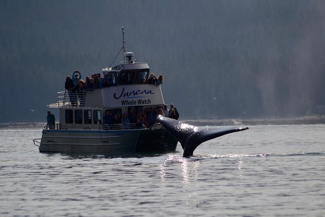 Ultimate Juneau Whale Watch and Mendenhall Glacier View - From Mt. Roberts Tram to Auke Bay: the ride that sets the mood