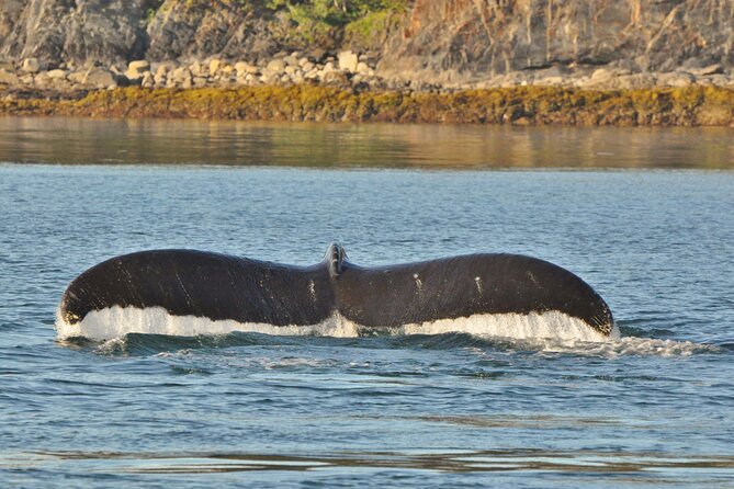 Ultimate Whale Watch and Tracy's Crab Shack Combo - Tracy’s Crab Shack stop: what you’re really paying for (and what can change)