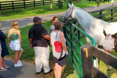 Unique Horse Farm Tours with Insider Access to Private Farms - Stop 1: the quick on-ramp to barn life
