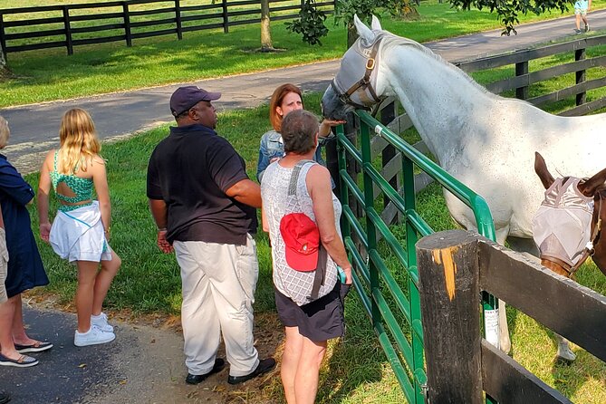 Unique Horse Farm Tours with Insider Access to Private Farms - Stop 1: the quick on-ramp to barn life