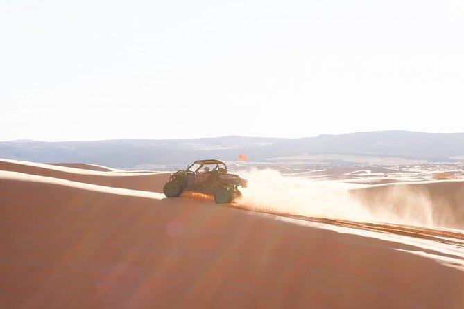 UTV Dune Cruise and Surf at Coral Pink Sand Dunes - Key Things You’ll Notice on This Coral Pink Dunes Tour