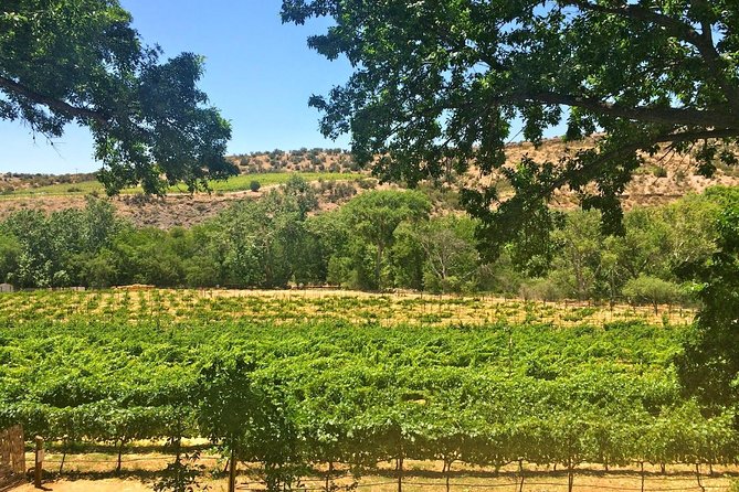Visit 4 Wineries in Limo Party Bus-Includes Charcuterie Lunch! - Price That Makes Sense, If You Plan For Tastings