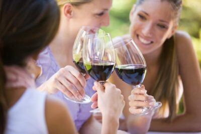 Visit 4 Wineries in Limo Party Bus-Includes Charcuterie Lunch! - Stop-by-Stop: What Each Verde Valley Winery Adds
