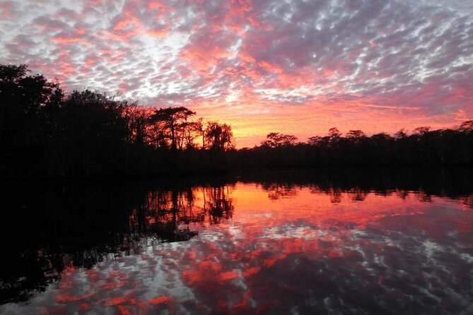Waccamaw River Nature and Wildlife Tour - The Narration Style: Stories, Humor, and Staying Engaged