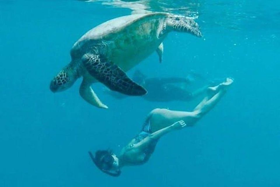 Waikiki Beach: Turtle Snorkeling and Sailing on Hāwea - Price and value: what your $84 actually buys you