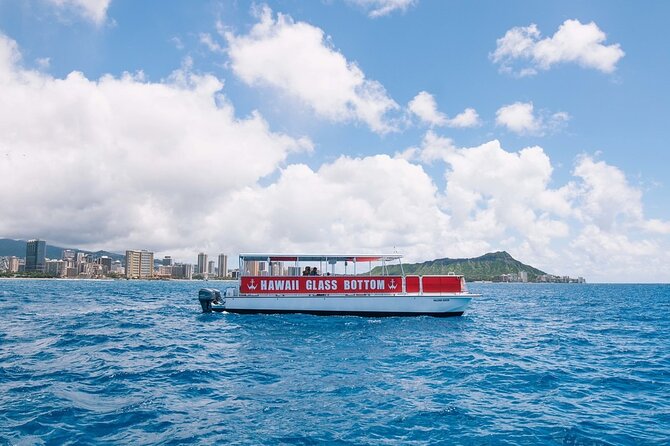 Waikiki Glass Bottom Boat Cruise - What you can actually see through the glass ports