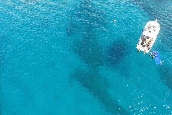 Waikiki, Hawaii: Turtle Canyon Snorkel Excursion - What’s included vs. what you must bring