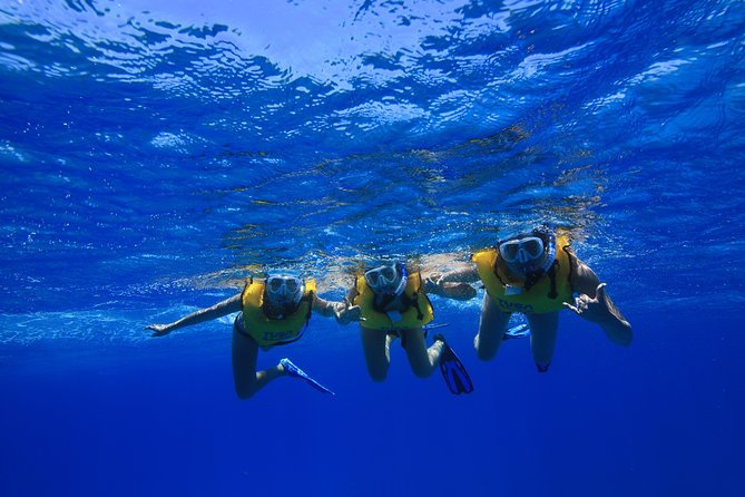 Waikiki, Hawaii: Turtle Canyon Snorkel Excursion - Who this snorkeling tour is best for
