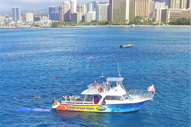 Waikiki, Hawaii: Turtle Canyon Snorkel Excursion - Where you start: Living Ocean Tours and how to show up ready