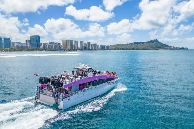 Waikiki, Oahu 2-Hour Whale Watching: Guaranteed Sightings - The 2-Hour Flow: What Happens While You Sail