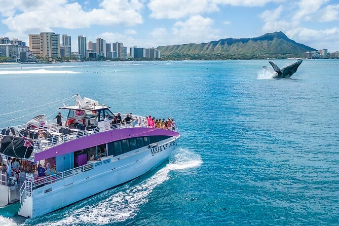Waikiki, Oahu 2-Hour Whale Watching: Guaranteed Sightings - Comfort on a Bumpy Waikiki Day: Seasickness Tips