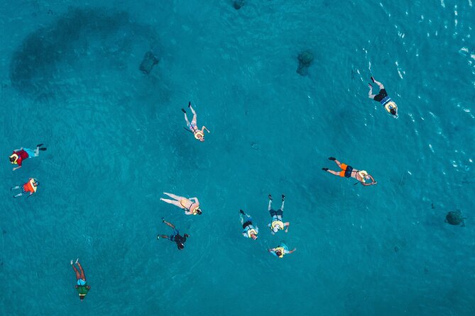 Waikiki: Turtle Canyon Snorkel - The 2-Hour Rhythm: Cruise Out, Snorkel In, Relax Back On Deck