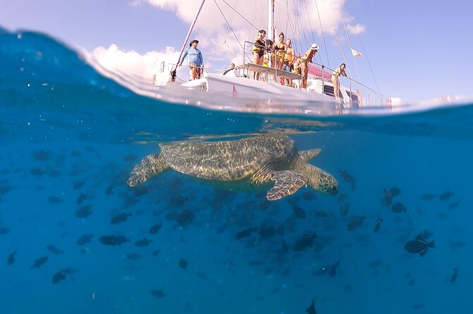 Waikiki: Turtle Canyon Snorkel - Crew Quality: Why Names You Hear Matter on Snorkel Tours