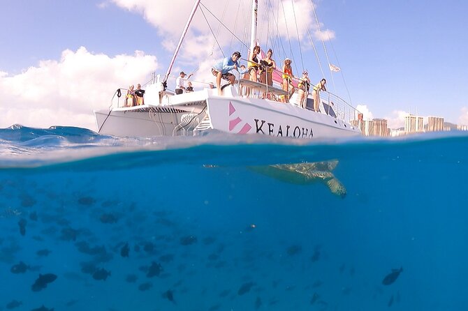 Waikiki: Turtle Canyon Snorkel - What to Bring (So Your Day Stays Happy)