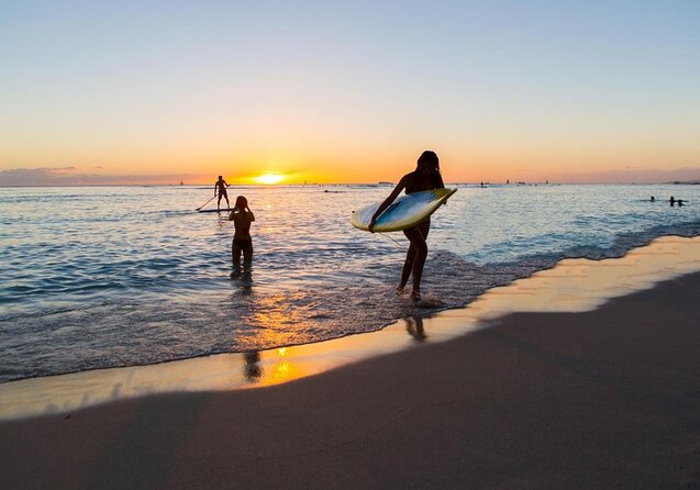 Waikiki Turtle Canyon Snorkel: Turtles Guaranteed - Key Points at a Glance