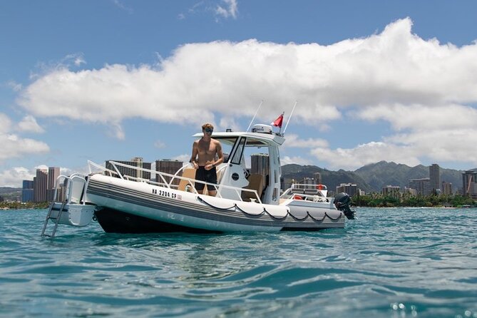 Waikiki Turtle Canyon Snorkel: Turtles Guaranteed - Stop 1 at Turtle Canyon: How the Crew Maximizes Turtle Chances