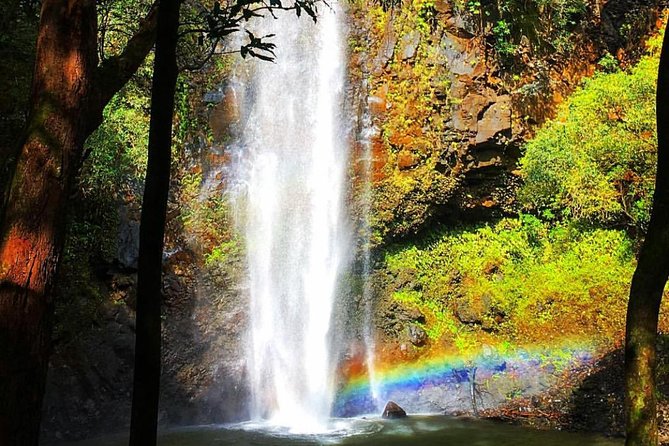 Wailua River & Waterfalls Kayak Tour: Expert-Guided Adventure - The Trail Reality: Mud, Loose Rocks, and Wet Feet You Should Expect