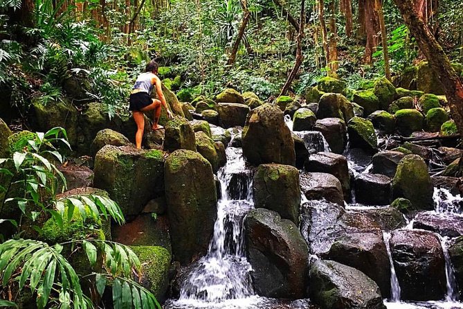 Wailua River & Waterfalls Kayak Tour: Expert-Guided Adventure - Lunch at the Falls: What You Eat and Why It’s Worth Waiting For