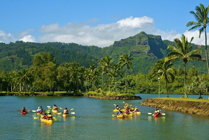 Wailua River & Waterfalls Kayak Tour: Expert-Guided Adventure - How Guides and Small Group Size Change Your Day