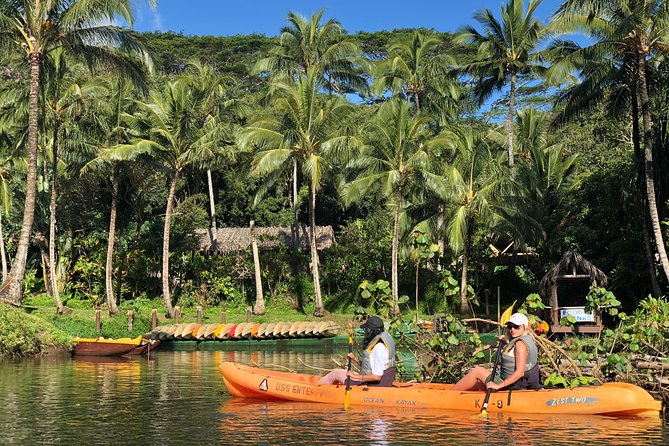 Wailua River & Waterfalls Kayak Tour: Expert-Guided Adventure - What to Bring (So the Mud Doesn’t Win)
